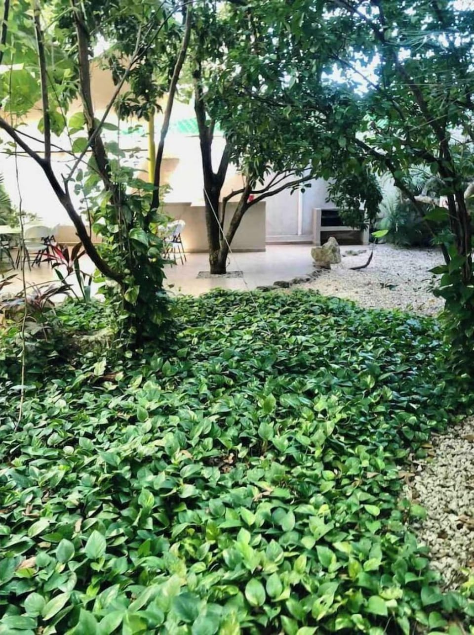 Property grounds