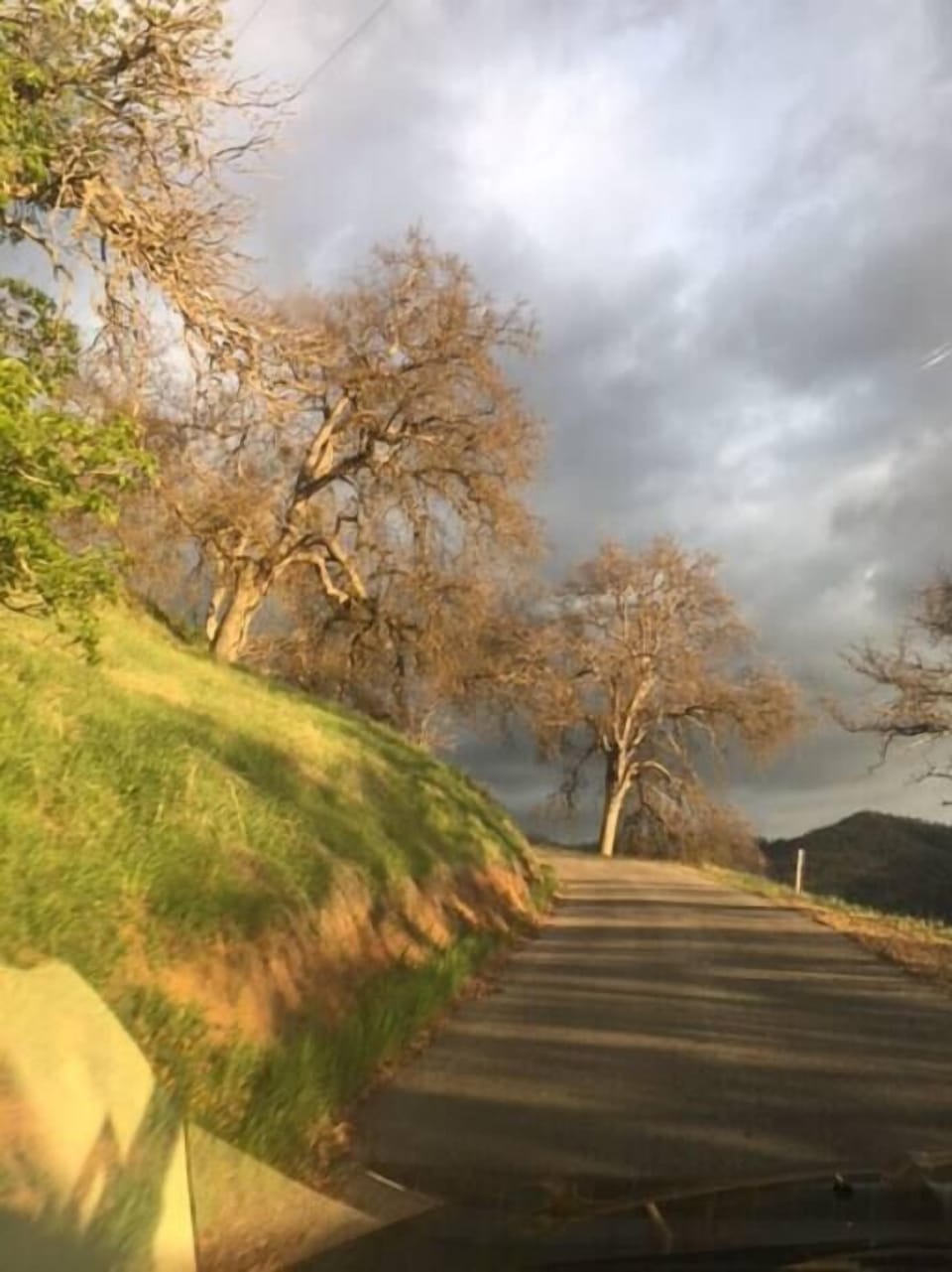 Driveway on a stormy day.