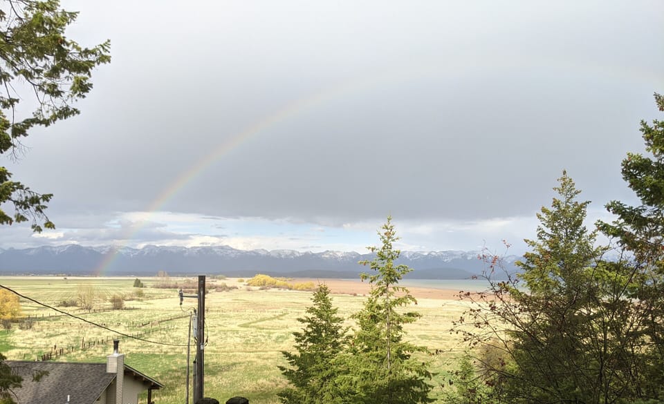 Rainy days bring beauty too!