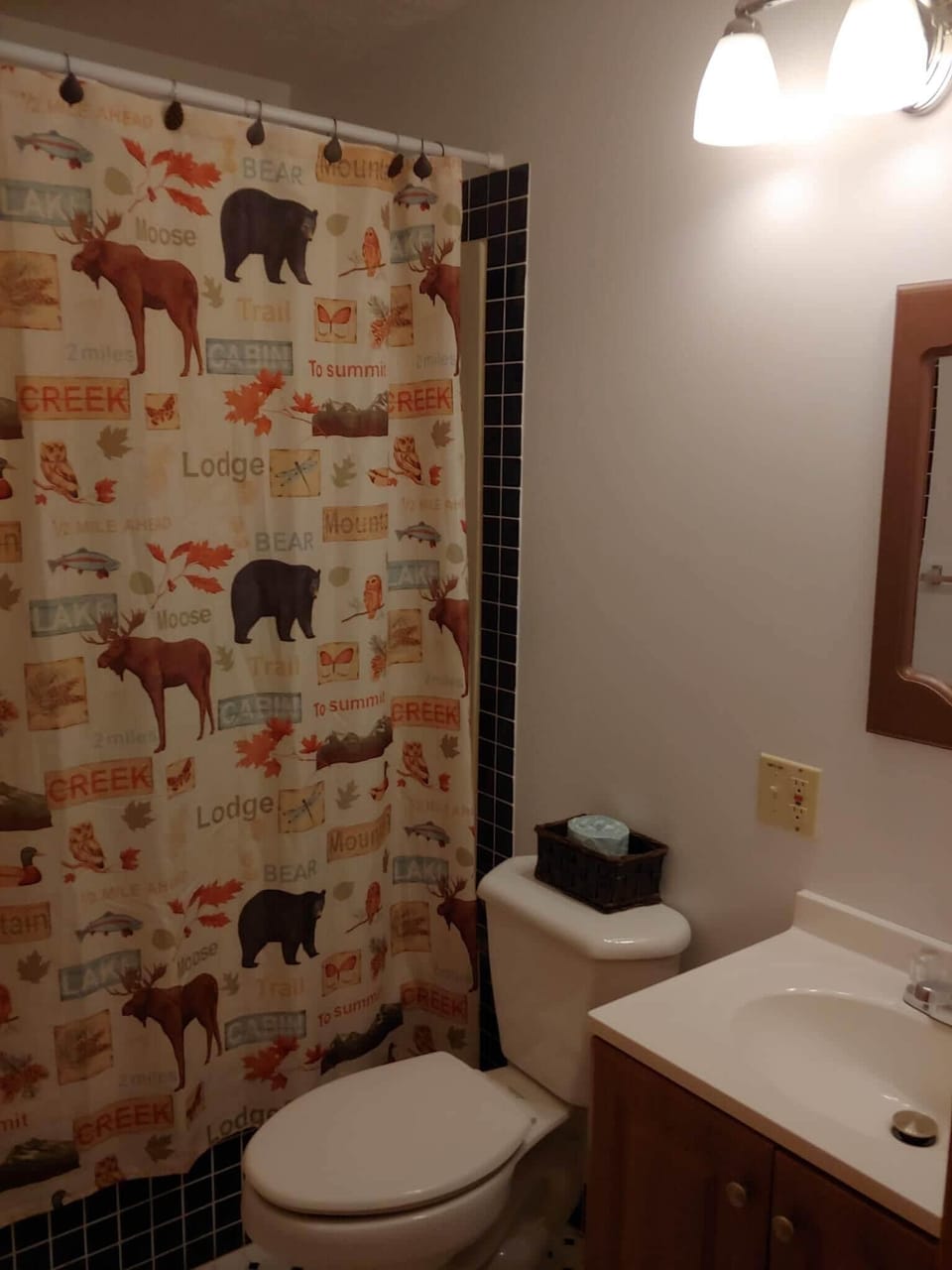 Main Floor Bathroom with Tub Shower Combo