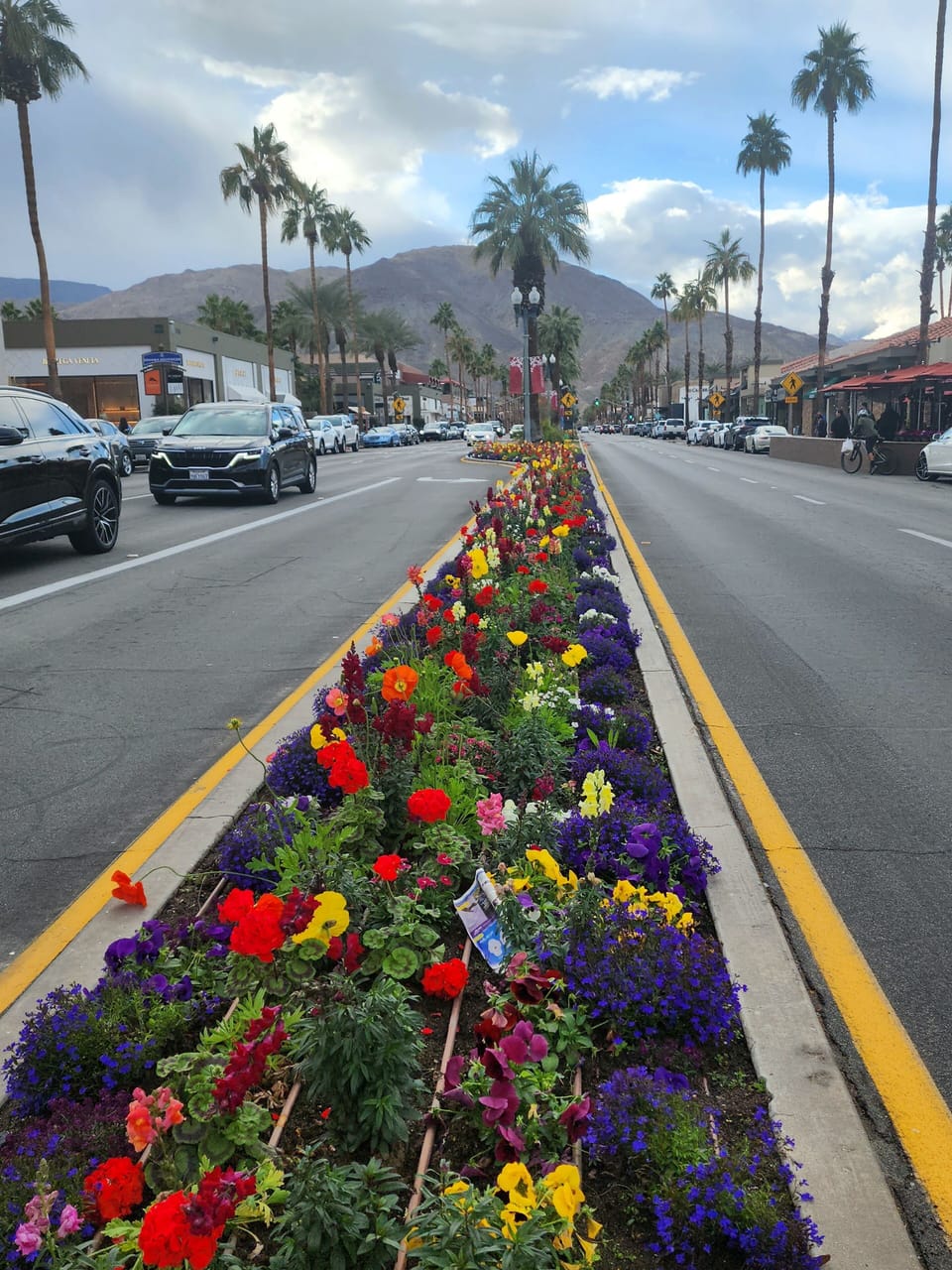 El Paseo shopping
