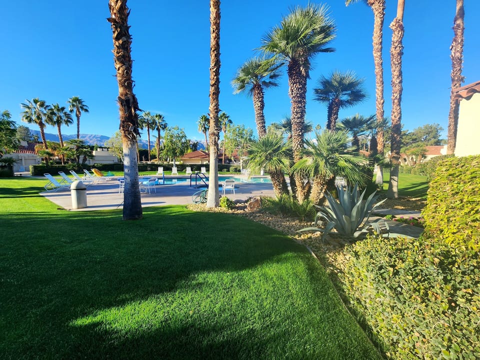 Pool (80 ft from condo)