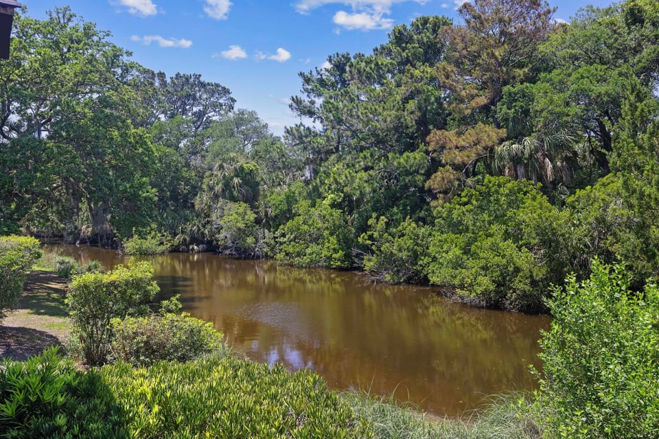 Lagoon View
