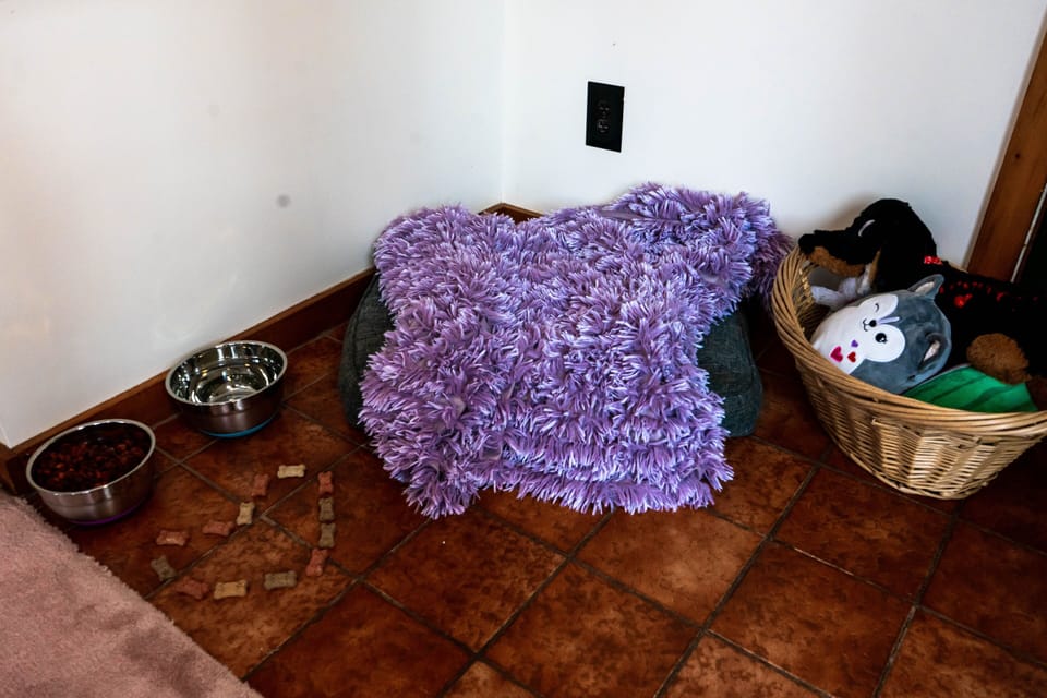 Pet friendly 