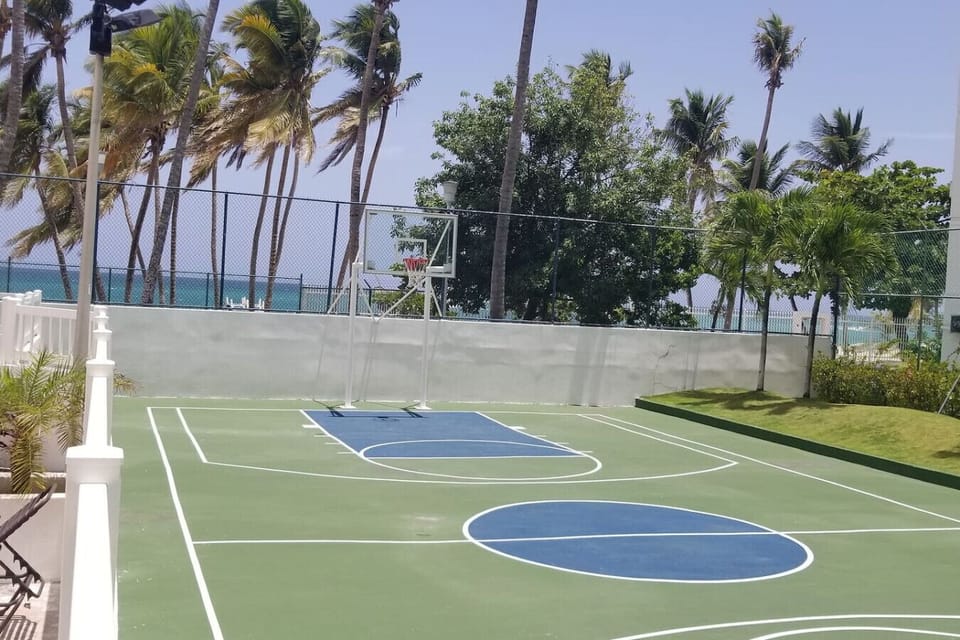 Sport court