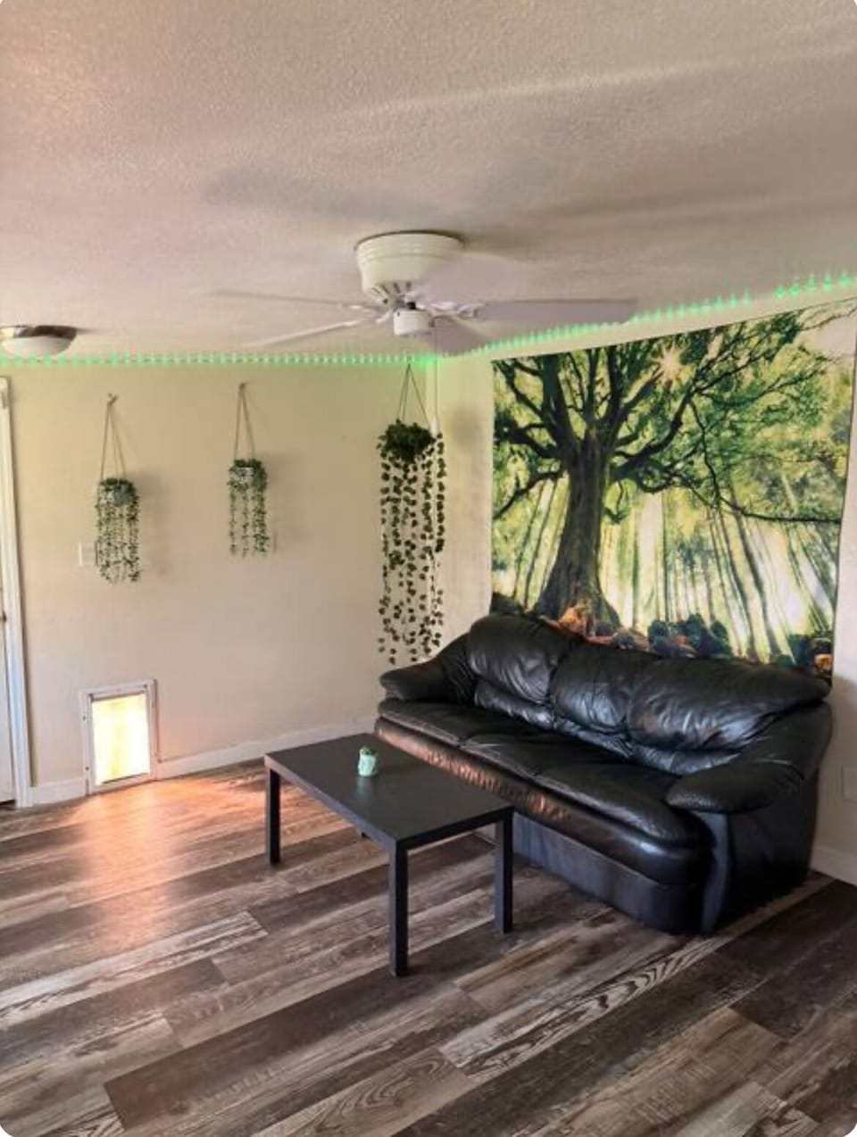 Theme Room
