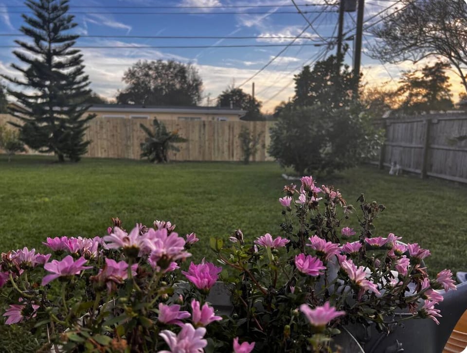 Backyard