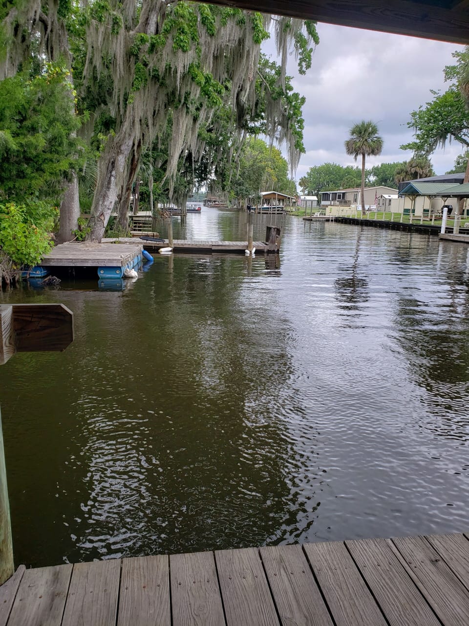 View to St Johns River. Perfect coffee spot. 