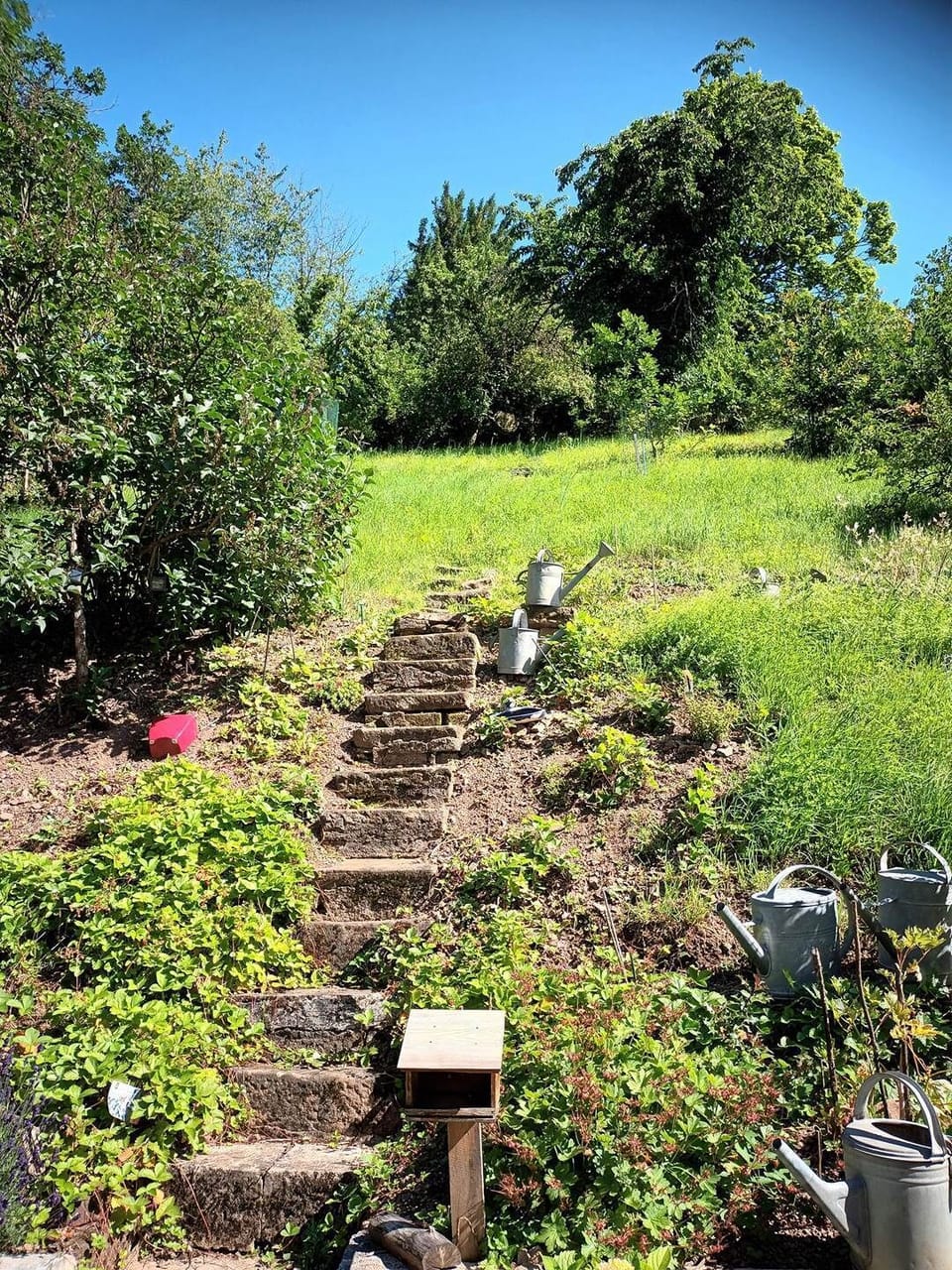 Jardin Le Kesbel