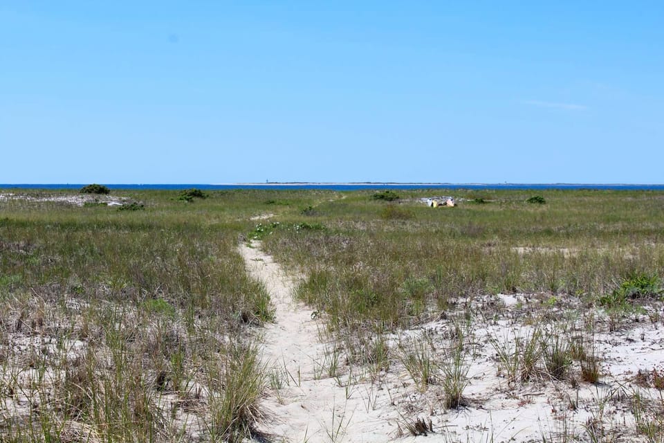 Follow the sandy path to the Cape Cod Bay beach