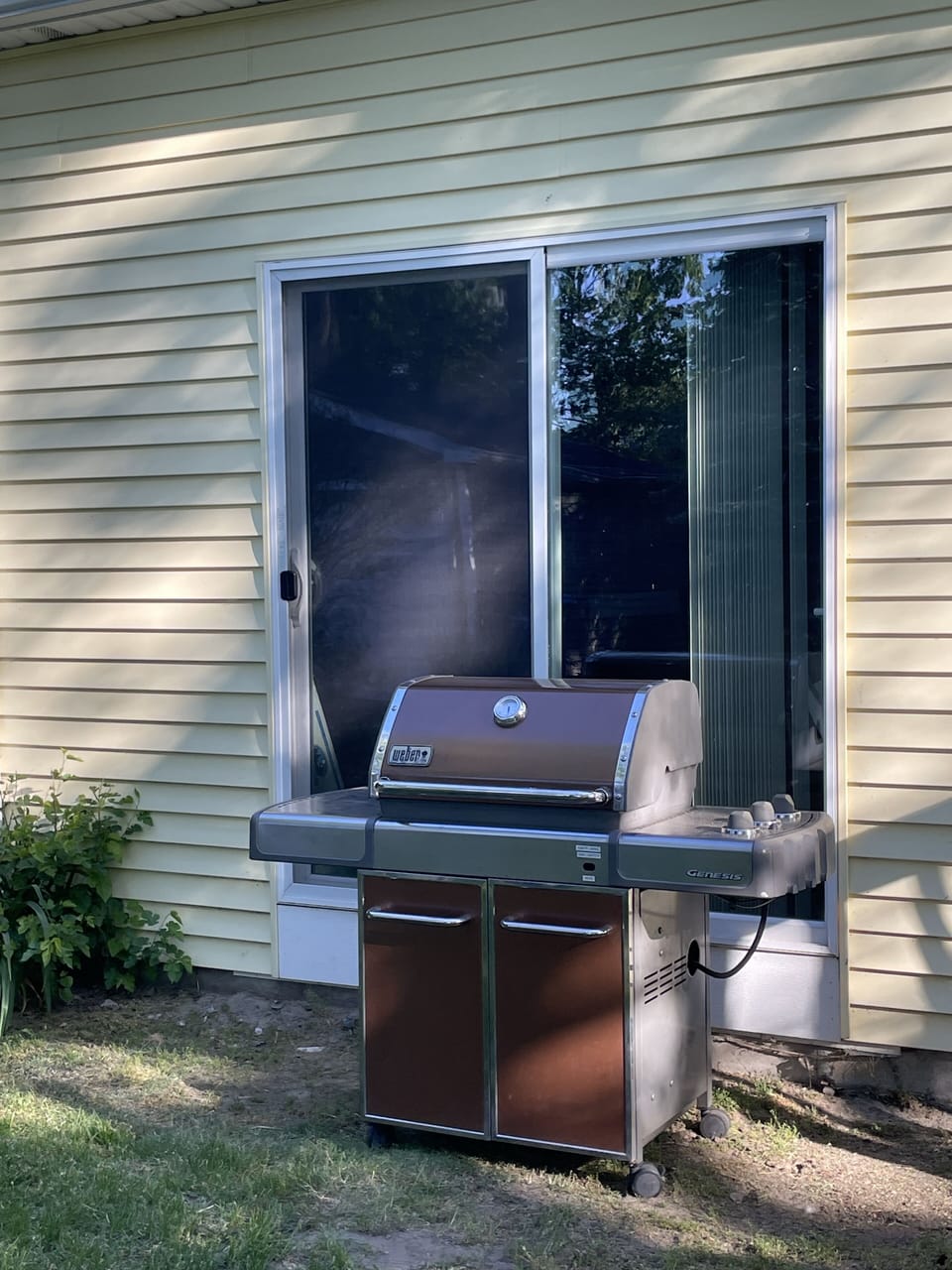 Gas BBQ