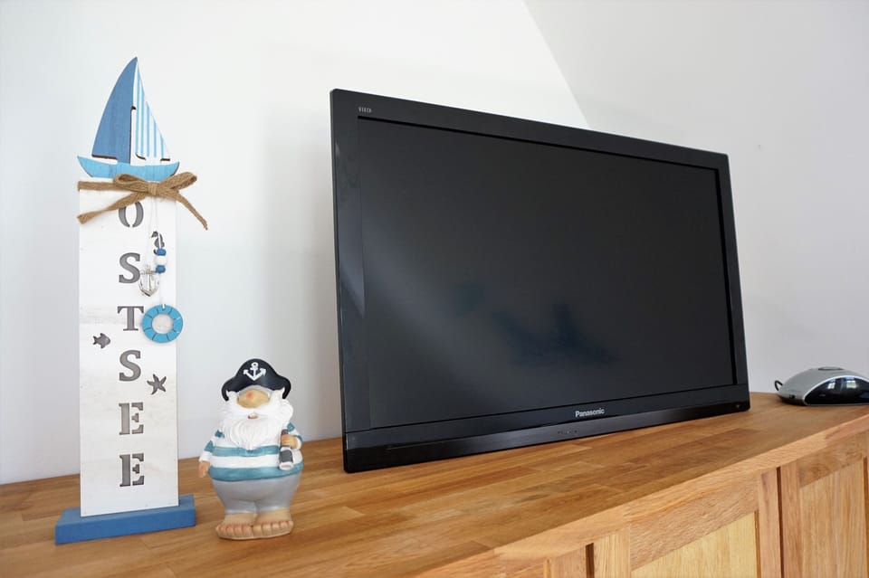 Television