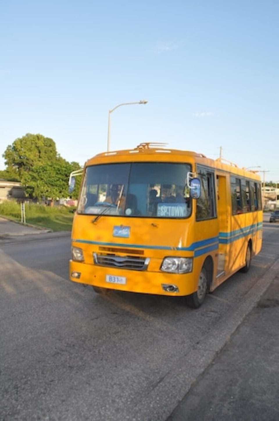 The infamous yellow bus