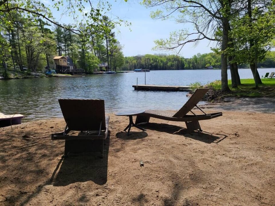 shared beach chairs for lounging