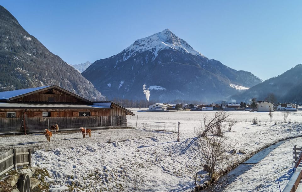 view-from-room