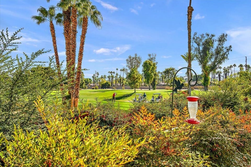 The patio right above the 14th teebox of Avondale Country Club.