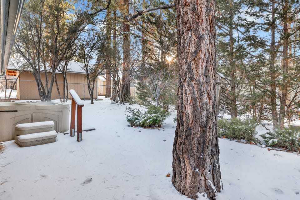 Private outdoor hot tub, surrounded by tall pines, perfect for relaxing under the trees after a day of adventure—enjoy peaceful forest views, fresh air, and a truly rejuvenating stay.