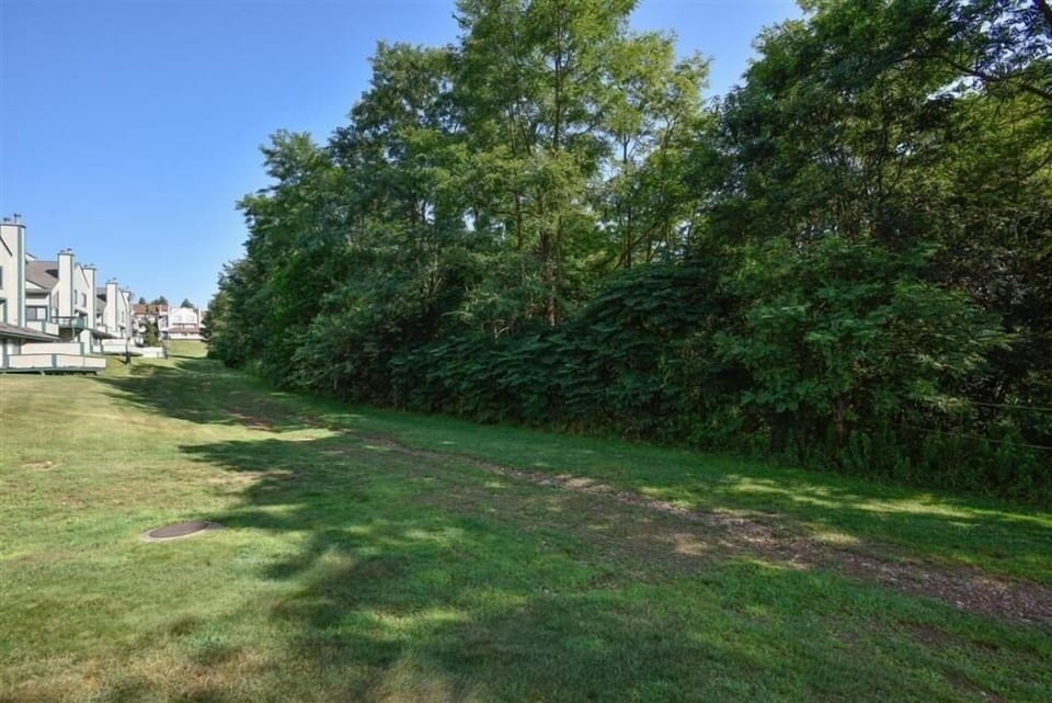 Grass, Lawn, Park, Outdoors, Nature