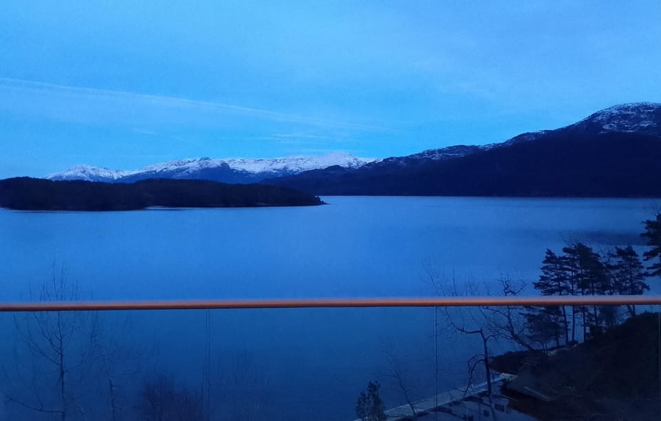 view-from-room