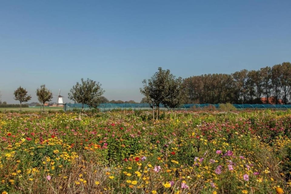 Surroundings [summer] (1-5 km)