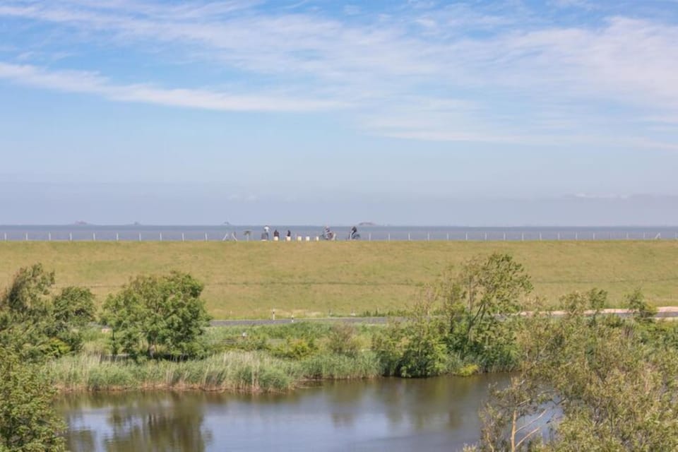 View from Holiday Home [summer]