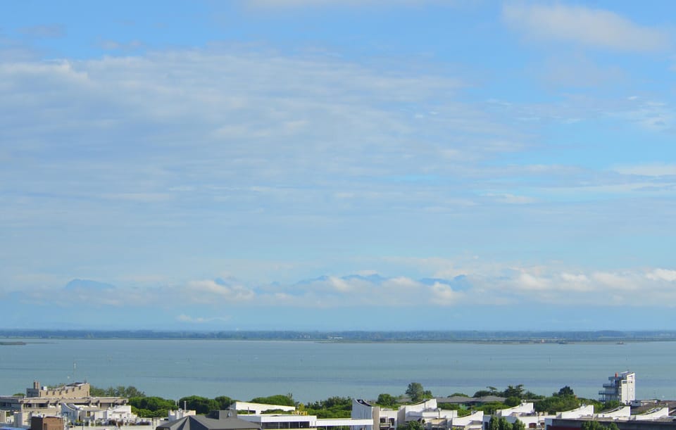 area