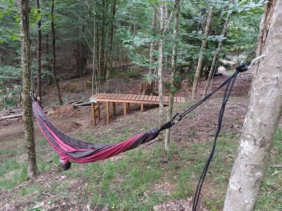 Hammock to enjoy