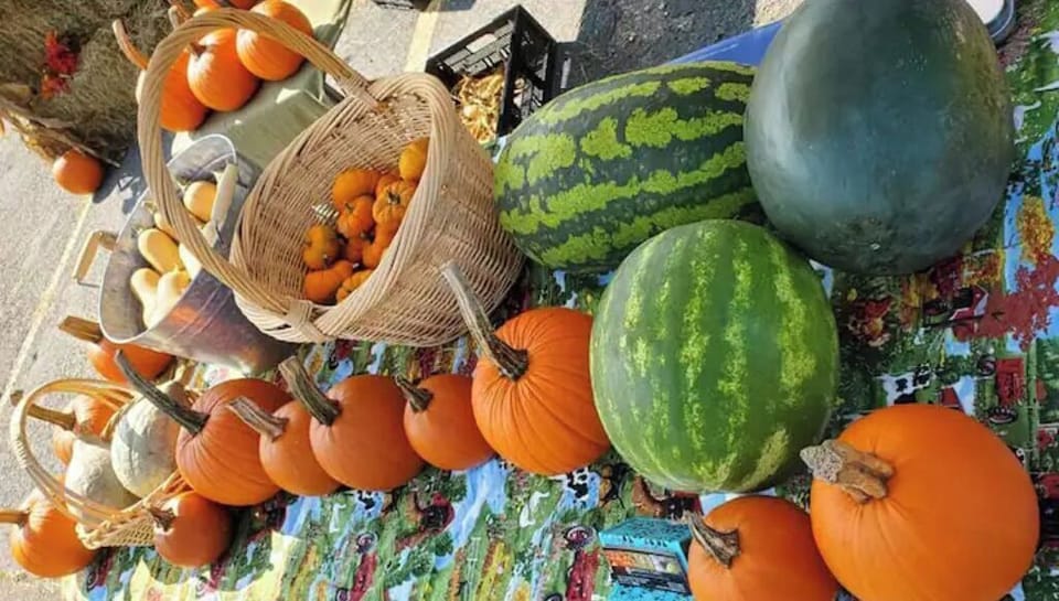 Some of our seasonal produce.  Watermelon and pumpkins