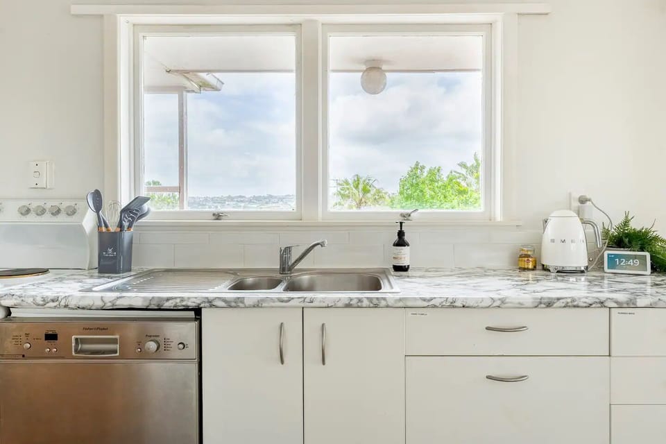 dish washer and sunny view