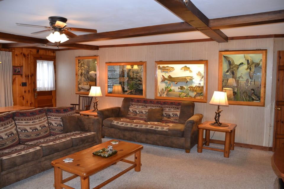 Taxidermy Wall