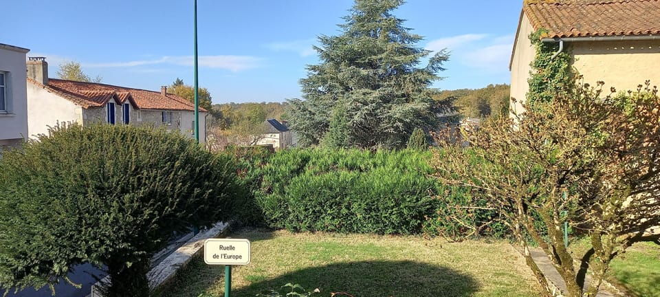 Image 9