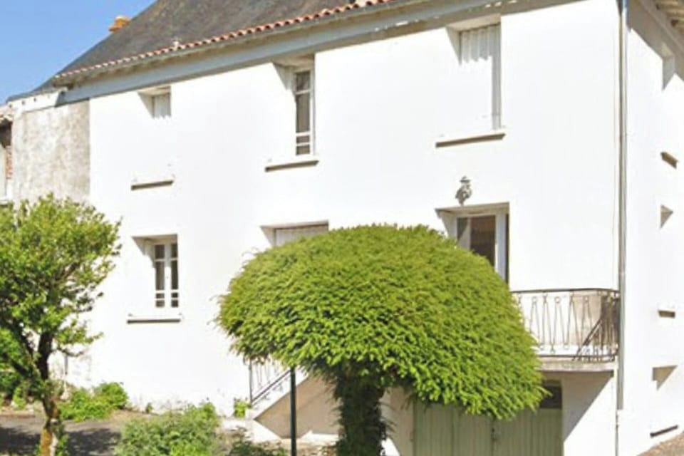 Image 8