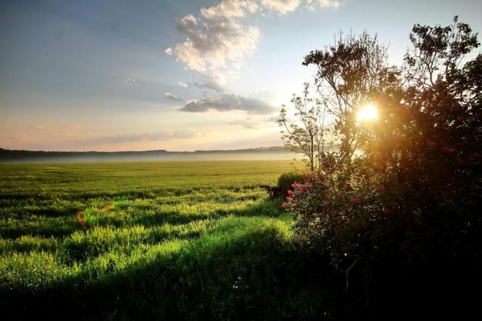 Region [summer] (>5 km)