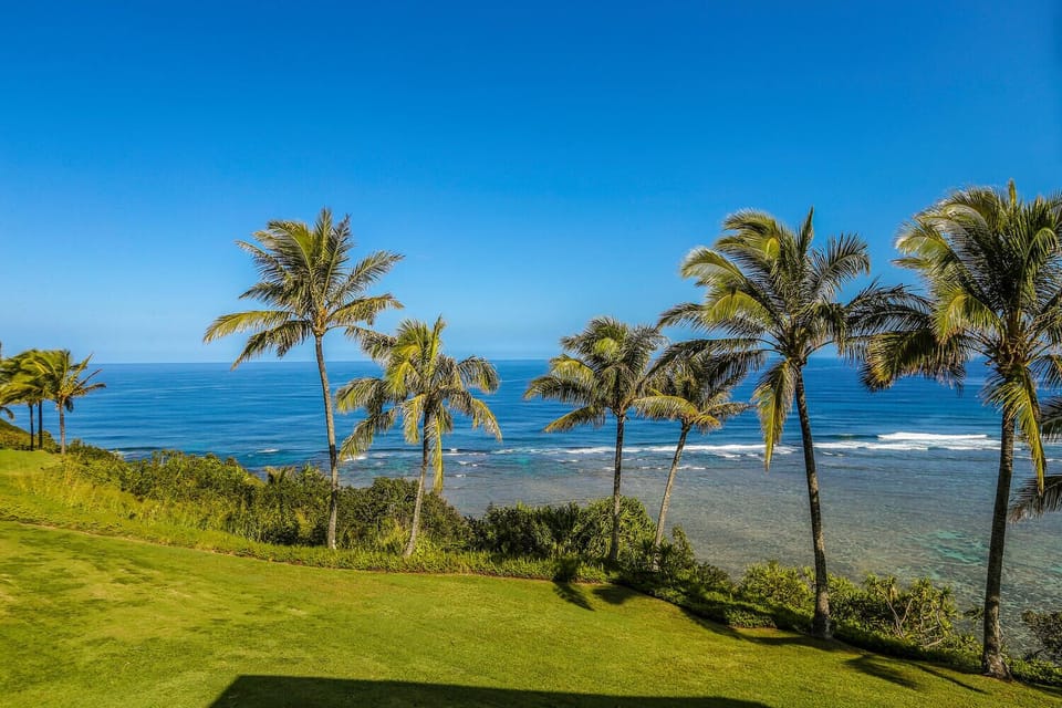 Step outside to enjoy unobstructed views of lush palms, coastal cliffs, and the endless ocean beyond.