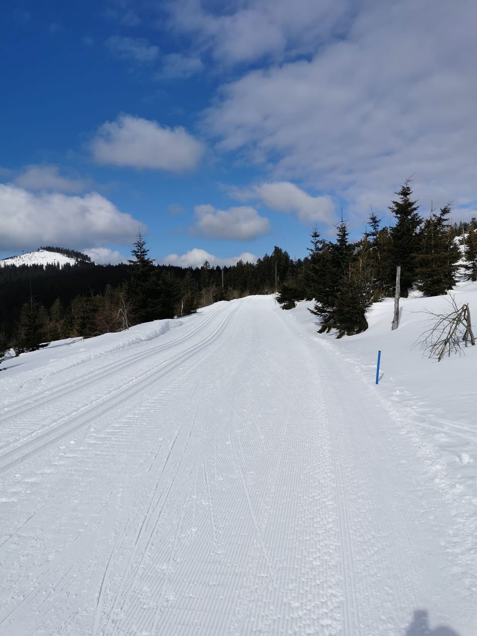 Snow and ski sports