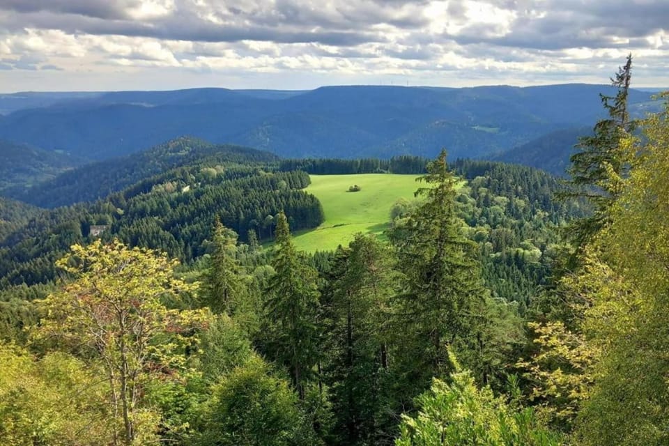 Region [summer] (>5 km)