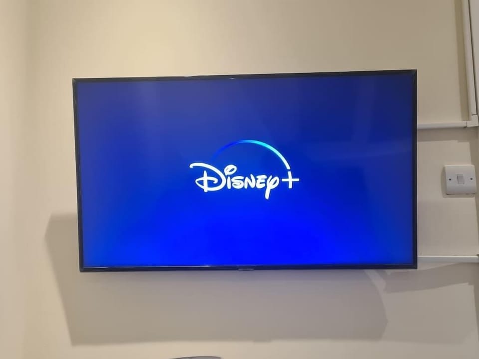 Enjoy Disney Plus and Netflix on the 55 inch smart TV 