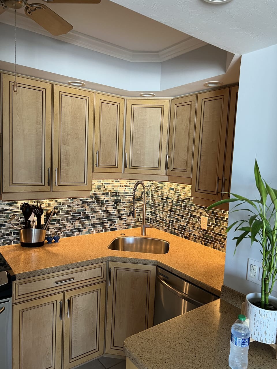 Kitchen fully equipped