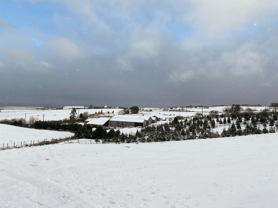 Snow at Fern Farm | Cart Shed - Fern Farm, Fylingdales, near Whitby