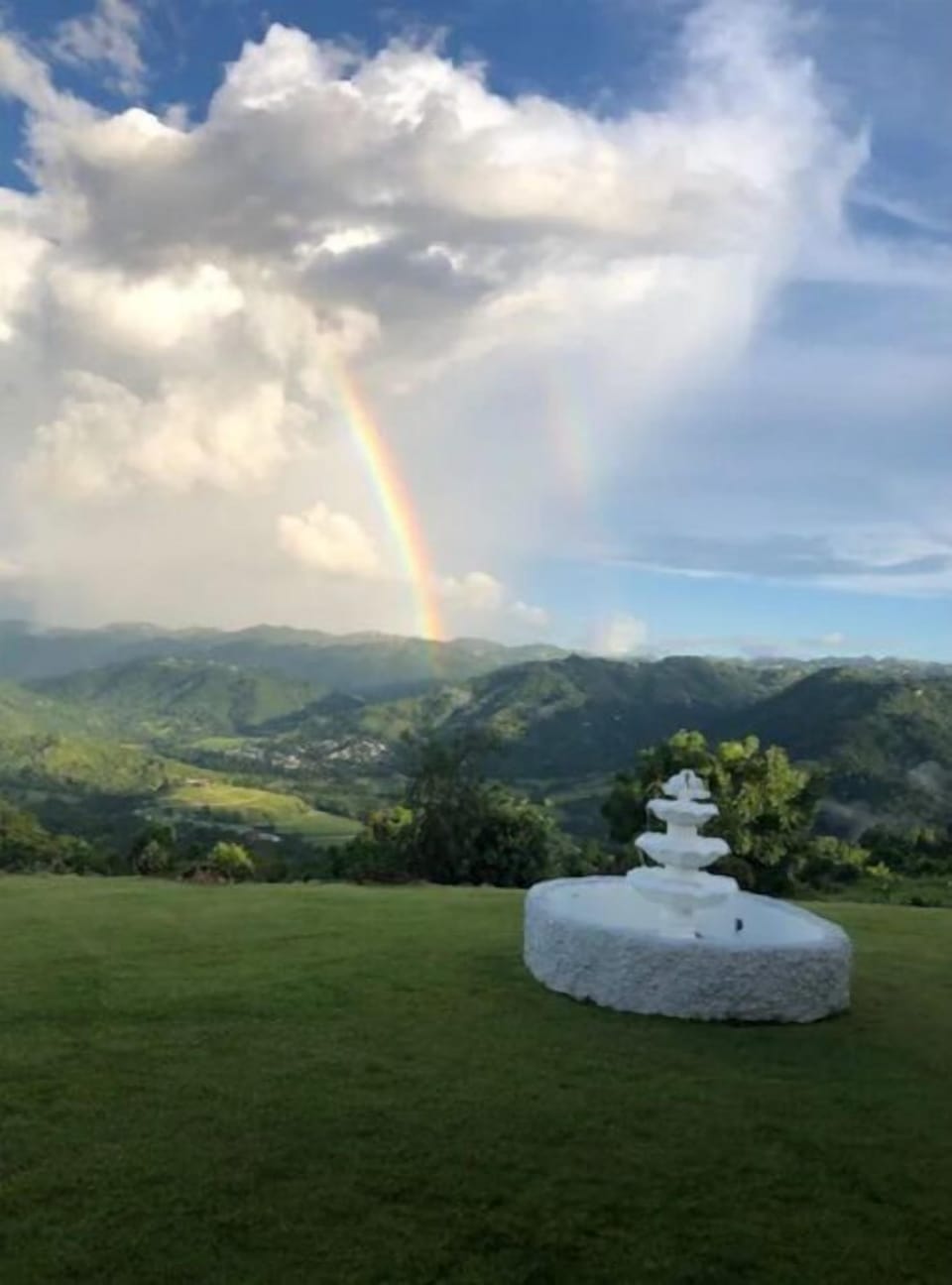 View from property