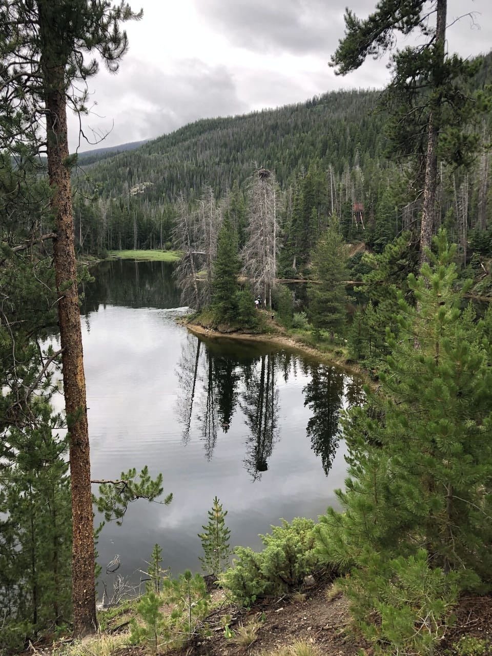 Lake View