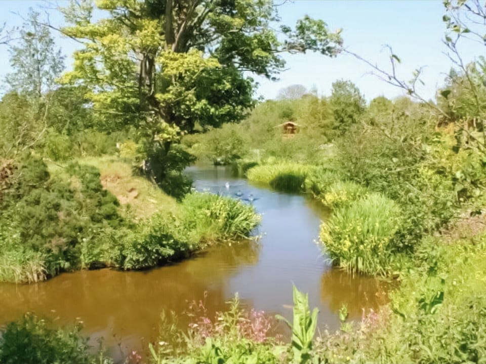 Surrounding area | Griffon Lodge - Felmoor Park, Felton, near Morpeth