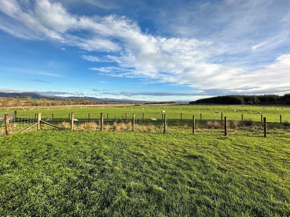 View | Fiadh Ruadh - Gartclach Farm, Gartmore, near Stirling