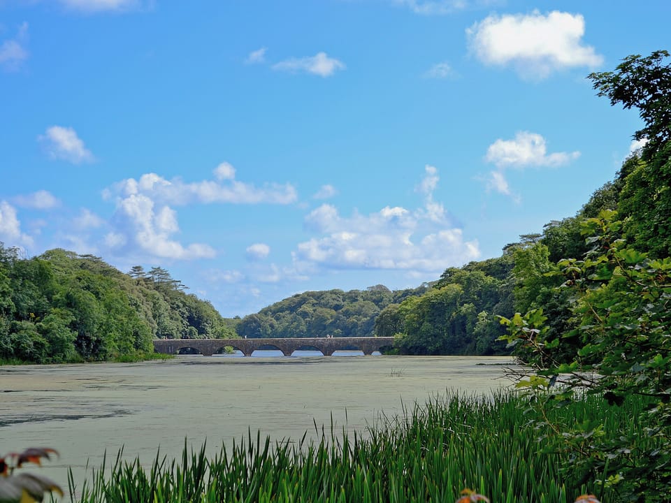 Bosheston Lily ponds | Pembrokshire, Wales