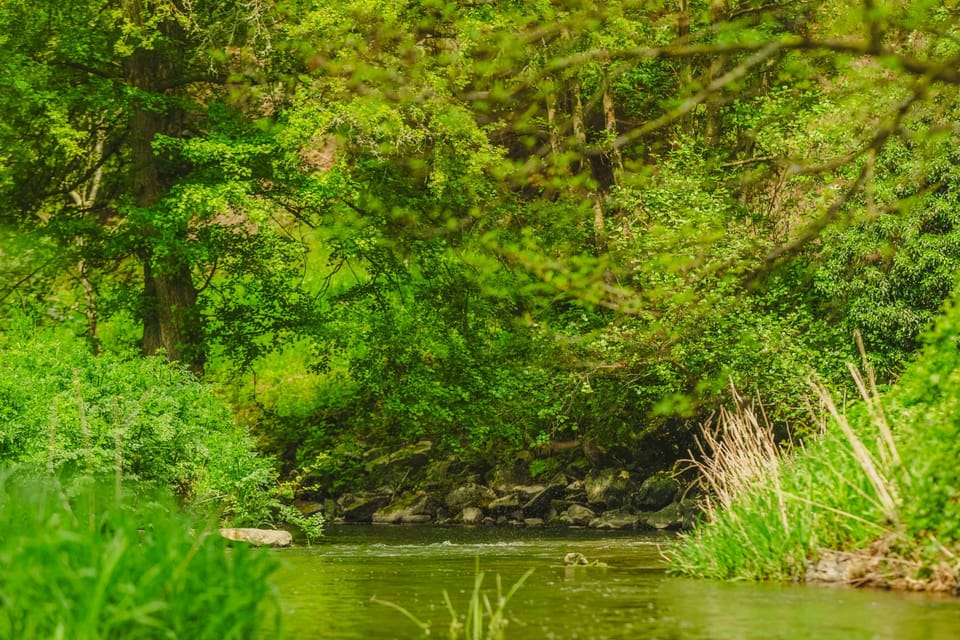 Explore the Marrington Estate