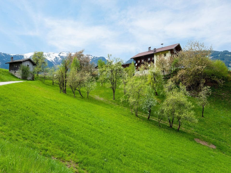 Immediate Surroundings [summer] (<1 km)