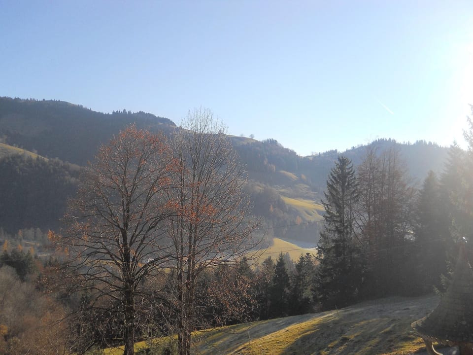 View from Holiday Home [summer]