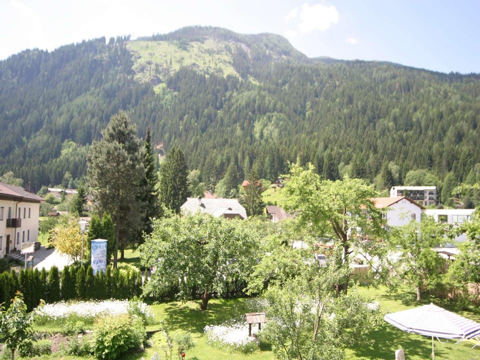 View from Holiday Home [summer]