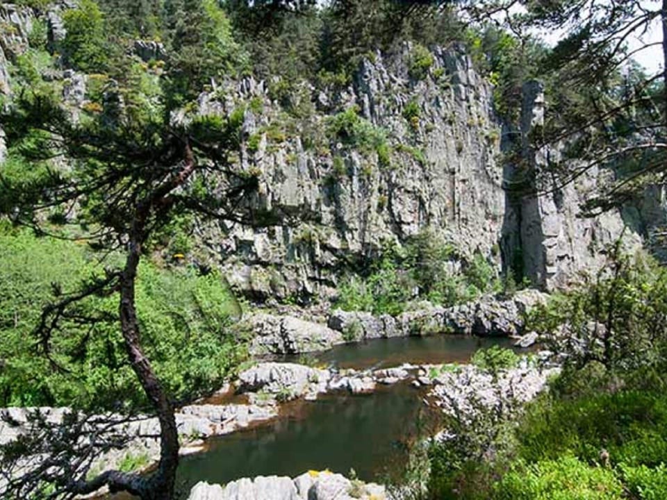 Region [summer] (>5 km)