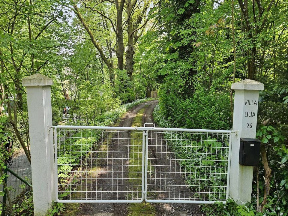 Entrance / Reception
